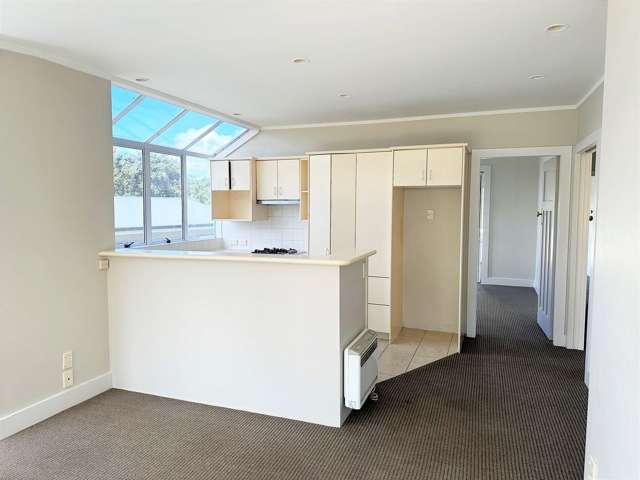 13 Aliford Avenue One Tree Hill_4