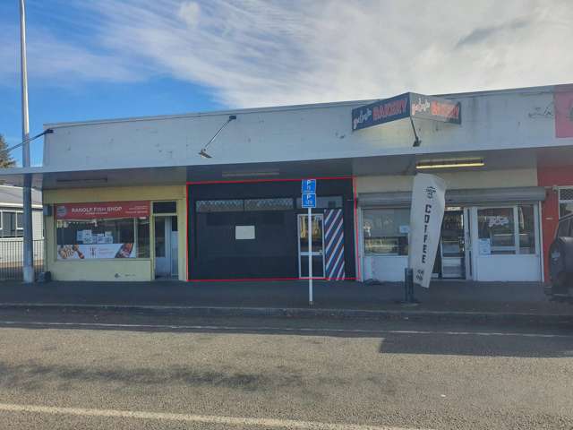 137 Ranolf Street Glenholme_4