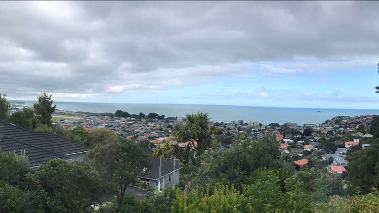 12a Coney Hill Road Saint Clair_1