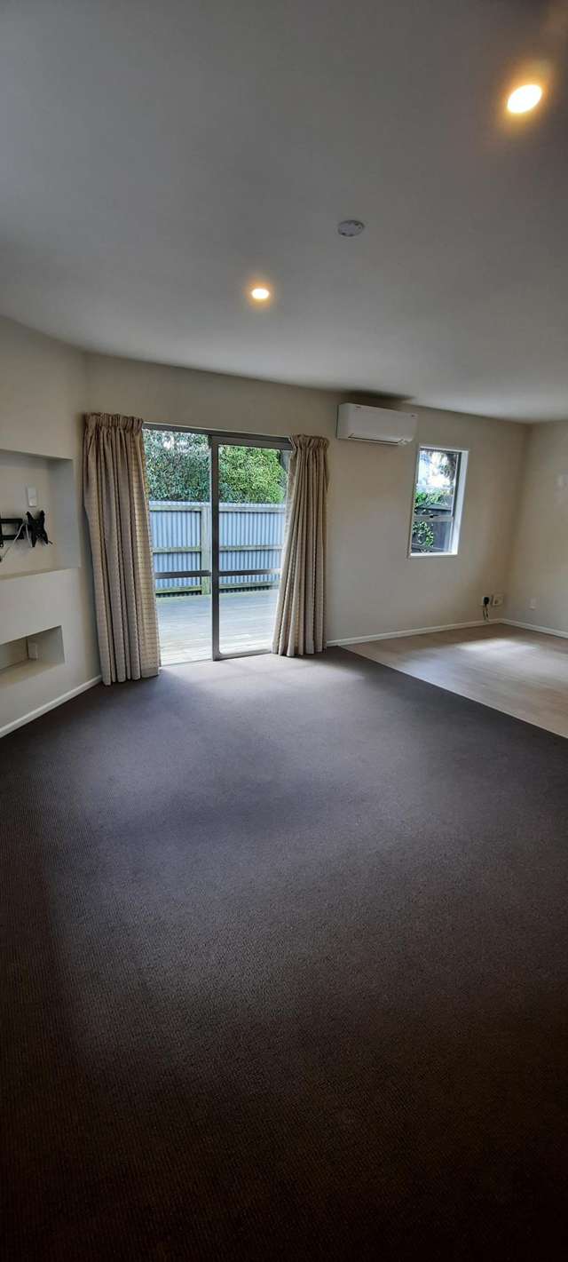 11 Hutcheson Street Sydenham_3