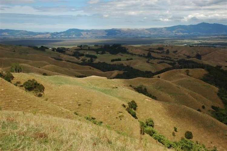 Waiti Road Tahuna_31