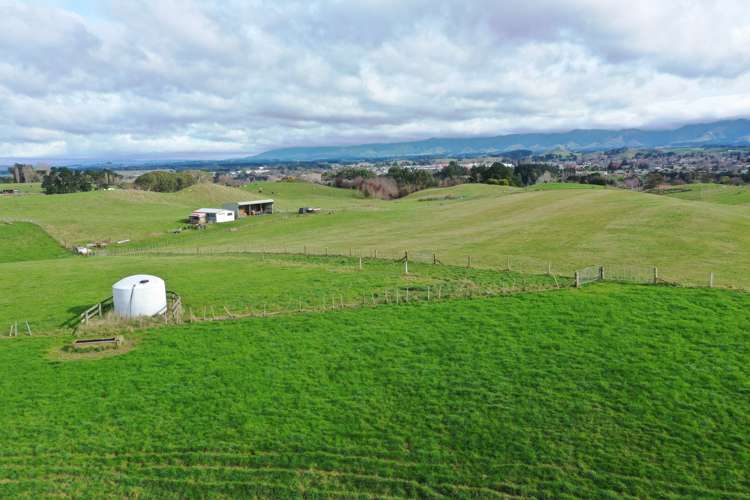 262 Tipapakuku Road Dannevirke_11