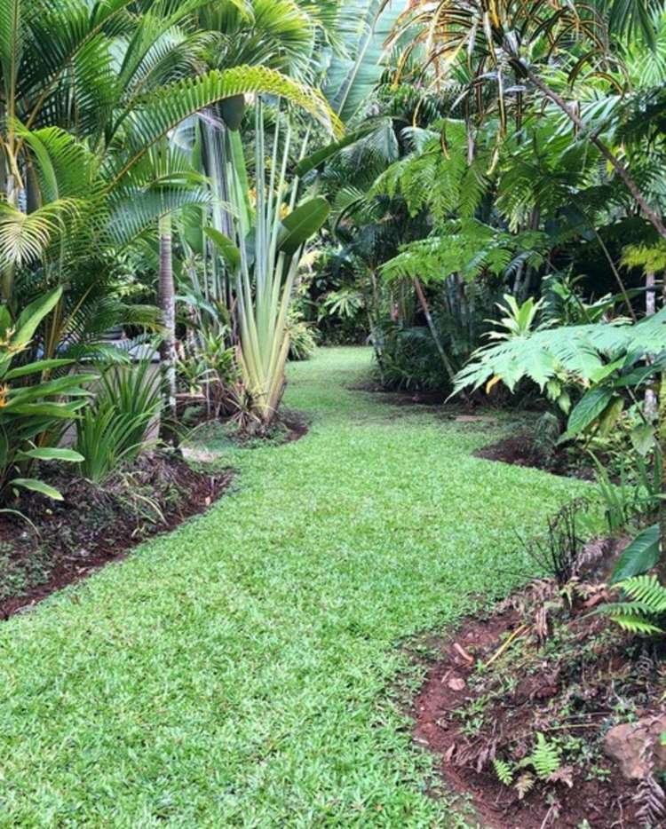 Address withheld Savusavu_10