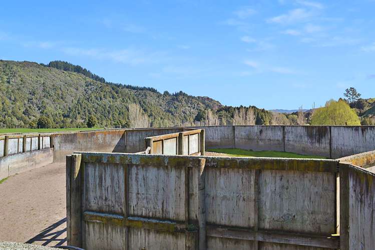 993 Upper Retaruke Road Ruapehu-King Country Surrounds_5