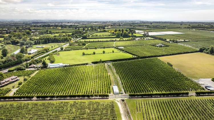 Rockit Orchard No.2 LP Hastings_16