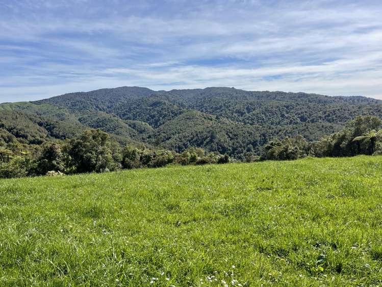 Pekanui Road Puketotara_12