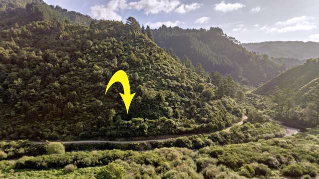 250 Pakihi Road Opotiki_1