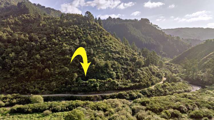 250 Pakihi Road Opotiki_1