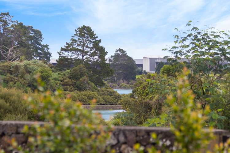 3 Paradise Place Pakuranga Heights_4