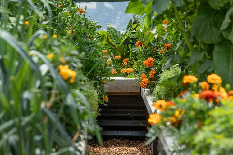 58 Loach Road Hawea Flat_57