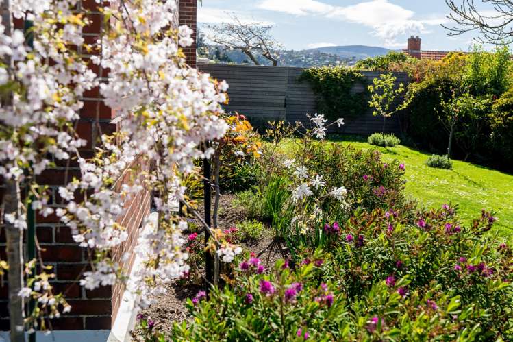 15 Ings Avenue St Clair_36