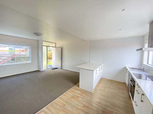 4/9 Ranier Street Ellerslie_1