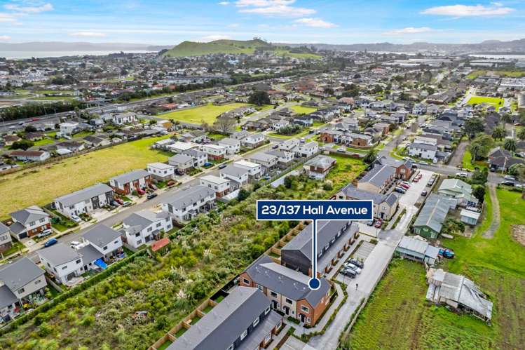 23/137 Hall Avenue Favona_15