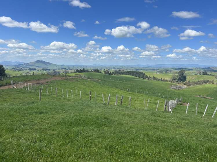 870 Mangati Road Pirongia_9