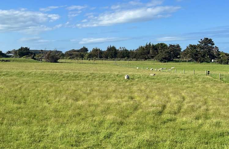 5 Ackers Road New River Ferry_2