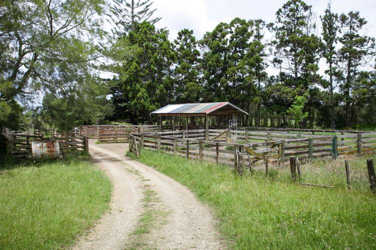 161 Otuiti Road Pukekawa_17