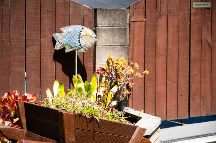 43 Tiverton Road Avondale_29