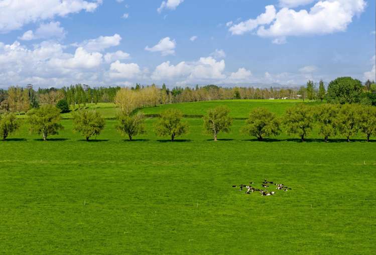 88 Davies Road Taupiri_22