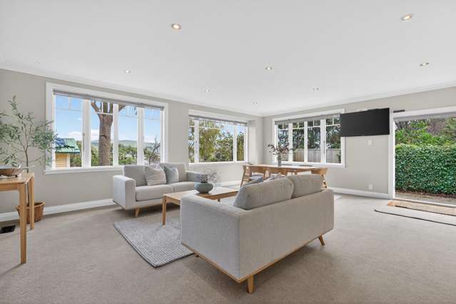 49 Tio Tio Road Miramar_1