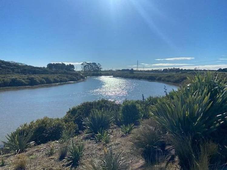 13 Weri Road Karaka_24