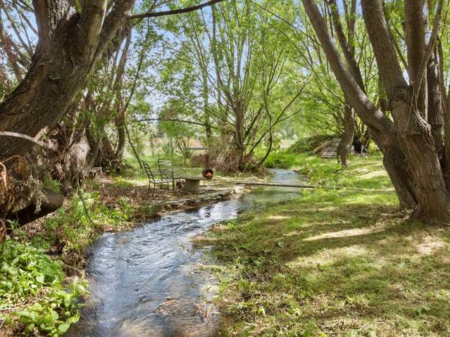 Embrace Nature, Woody Riverside Setting