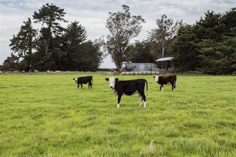 308 Stokes Road Balcairn_20