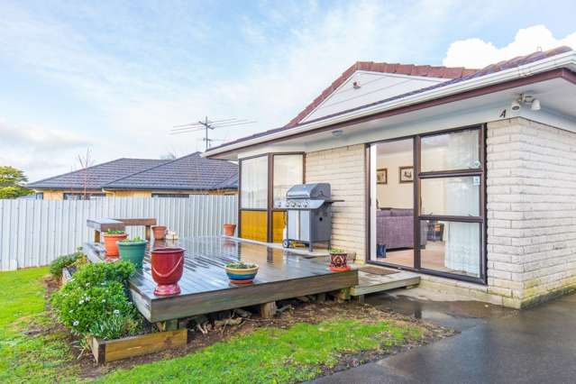 117a Queen Street Pukekohe_1