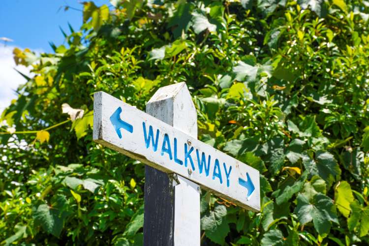 35 Ruamoana Place Omokoroa_19