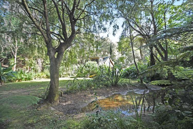 594 Matakana Valley Road Matakana_17