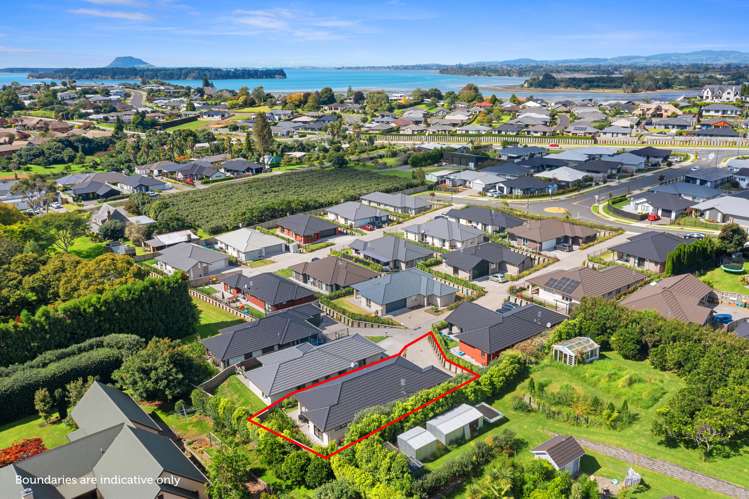 7 Tangata Way Omokoroa_12