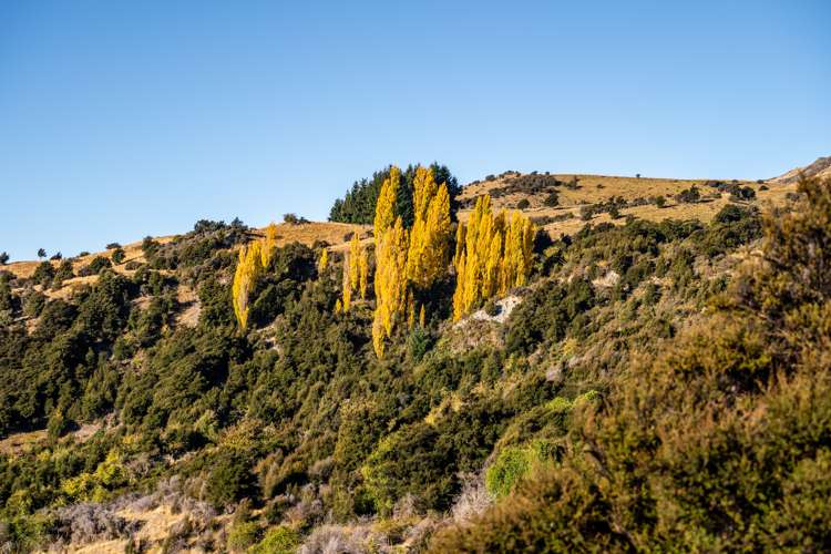 446 Cardrona Valley Road Wanaka_18