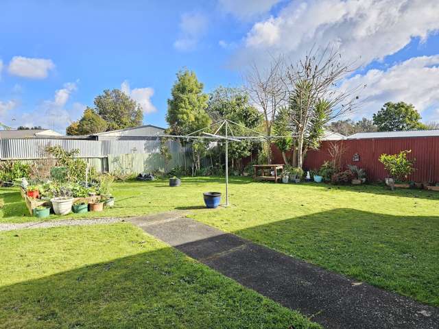 16 Beatty Street Levin_4