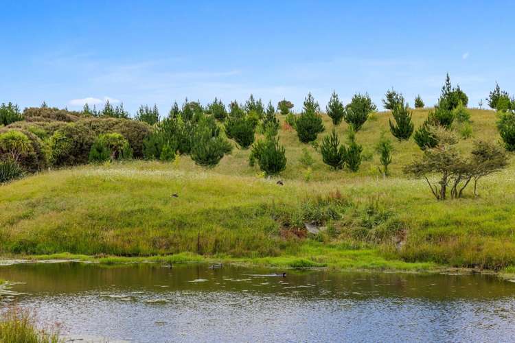 40 Silver Hill Road Wellsford_26