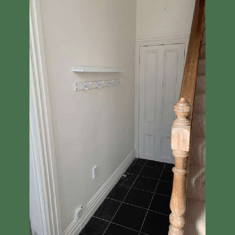 5 Devon Street Aro Valley_10