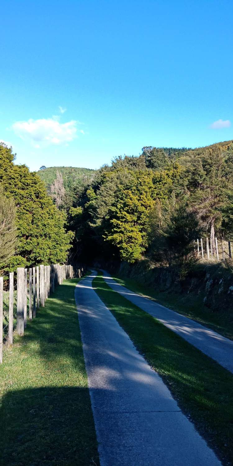 36 Boar Bush Gully Road Featherston_19