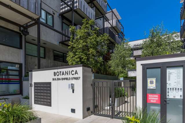 Premium Mt Eden Living