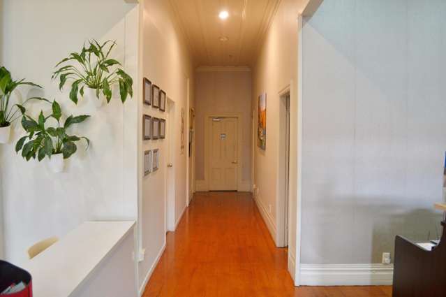 341 Dominion Road Mount Eden_4