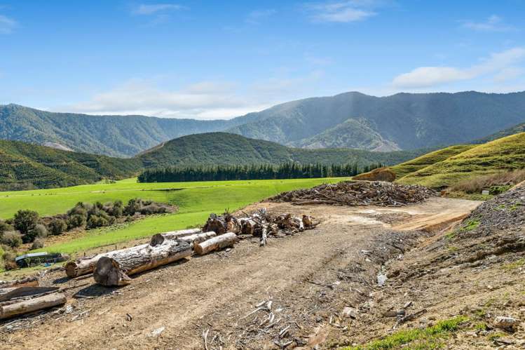 267 Kaiuma Bay Road Marlborough_35