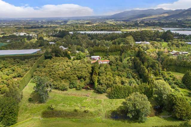 232 Wharawhara Road Aongatete_4