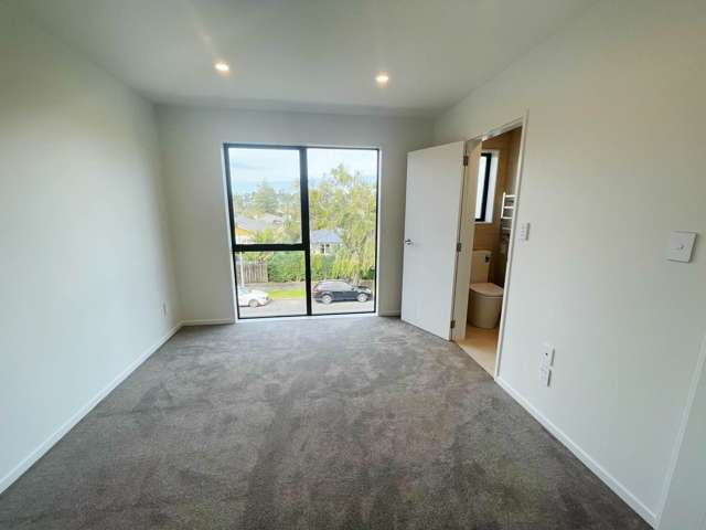 67B Wingate Street Avondale_4