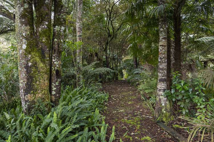 384 Kara Road Maungatapere_27