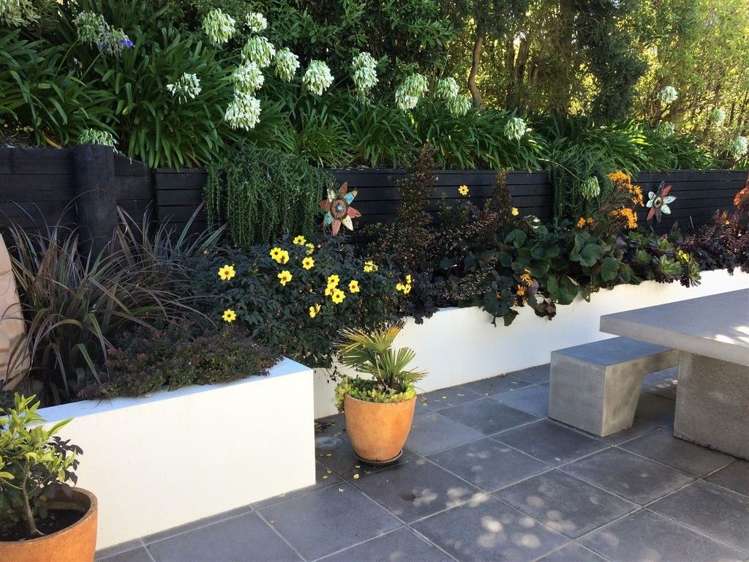 146 Clifton Terrace Clifton_23