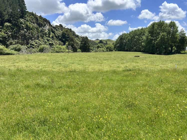 Near 1757 Tarata Road Tarata_14