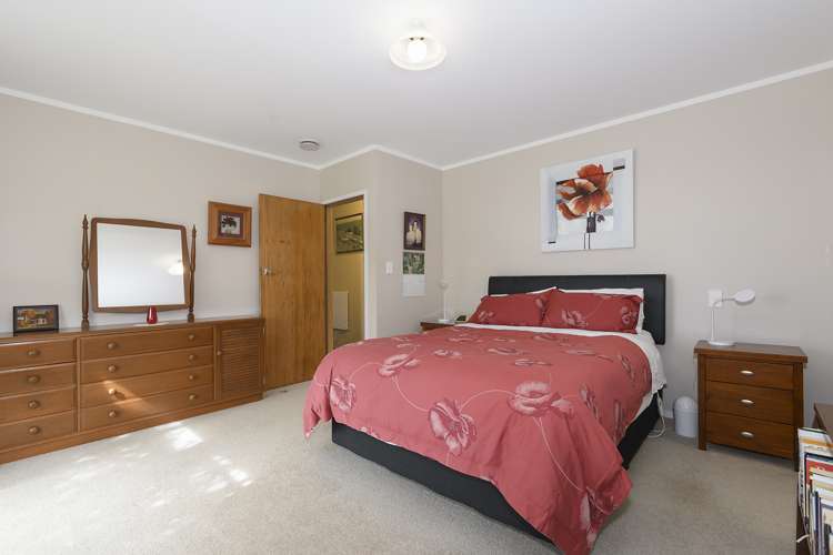 455c Belk Road Kaimai_7