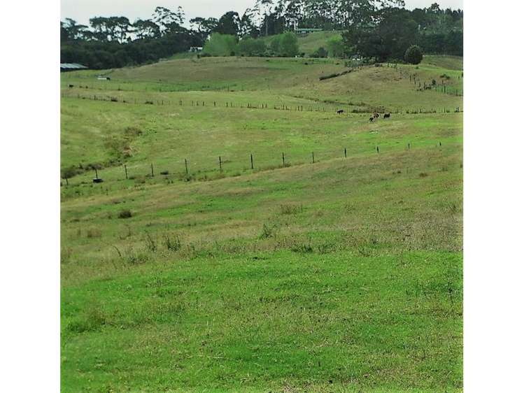 132b Gatfield Road Kaukapakapa_7