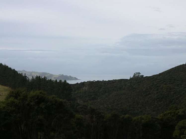 379a Cowes Bay Road Waiheke Island_7