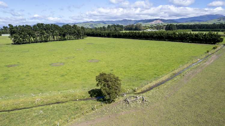 174 Wiltons Road Carterton_15