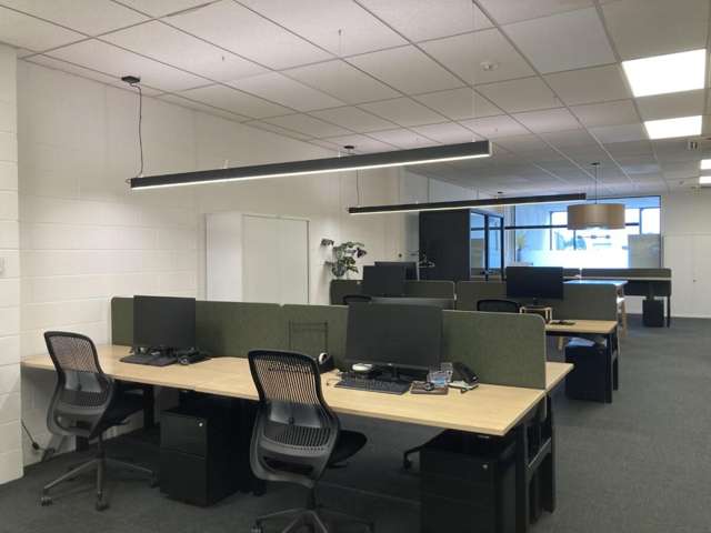 Level 1, 390  Grey Street Hamilton East_3