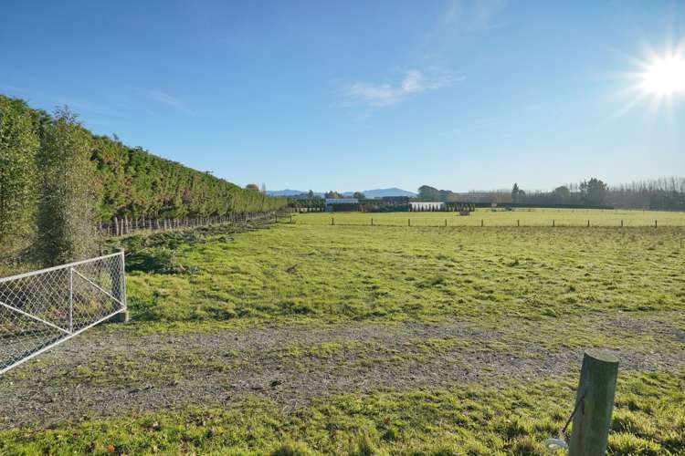 185 McIntoshs Road Fernside_12
