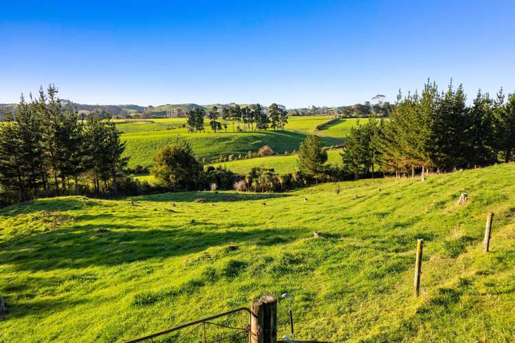 575a Hursthouse Road Tarurutangi_10